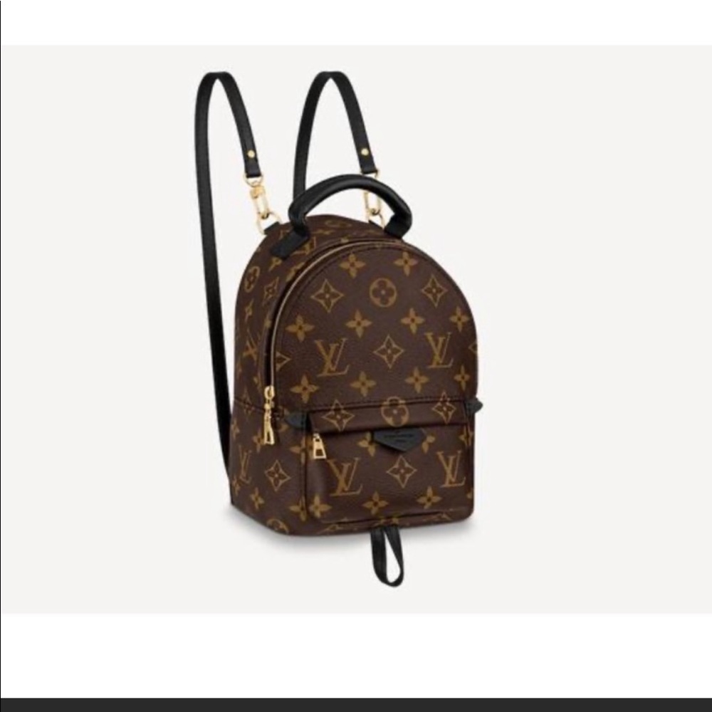 Louis Vuitton Palm Springs Mini